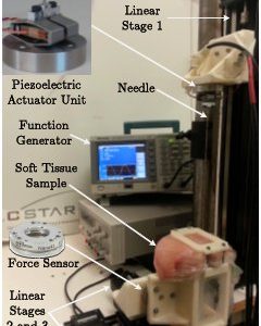Analysis of Needle–Tissue Friction during Vibration-Assisted Needle Insertion