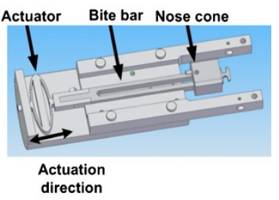 Viscoelastic properties of the ferret brain measured in vivo at multiple frequencies by magnetic resonance elastography